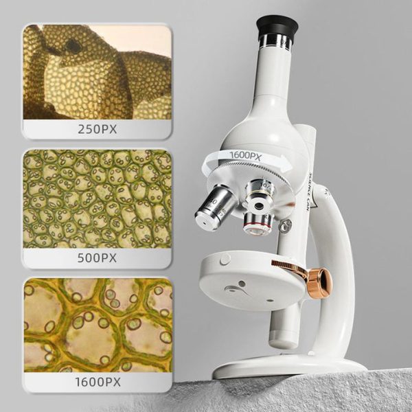 a89c8a54-7c17-4450-8b5f-a68d3fe48a79_720x-1