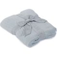 barefoot-dreams-trend-accessories-blue-one-size-cozychic-lite-ribbed-baby-blanket-30630004457559_720x