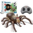 discovery-stem-remote-control-tarantula-spider-32434842828887_720x