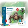 discovery-stem-remote-control-tarantula-spider-32434843058263_720x