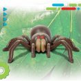 discovery-stem-remote-control-tarantula-spider-32434843091031_720x-3