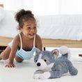 fao-schwarz-plush-22-adopt-a-pets-mix-pups-plush-corgsky-30736942465111_720x