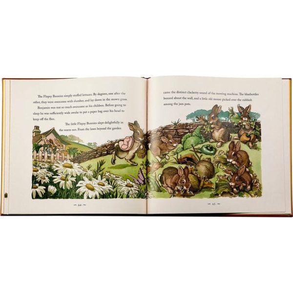 graphic-image-books-the-classic-tale-of-peter-rabbit-book-in-tan-bonded-leather-32343281991767_720x-2