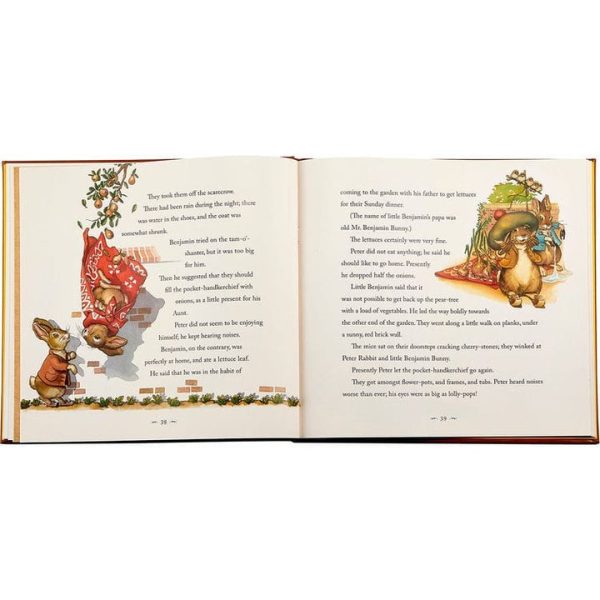 graphic-image-books-the-classic-tale-of-peter-rabbit-book-in-tan-bonded-leather-32343282548823_720x-5