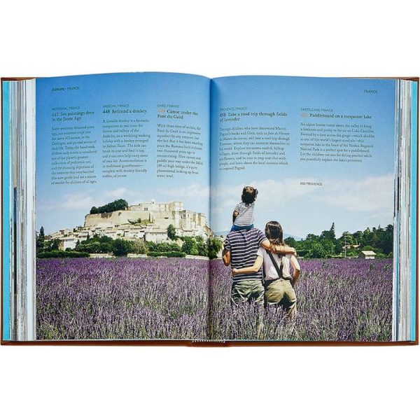 graphic-image-books-the-family-bucket-list-book-leather-edition-1152077163_720x-2