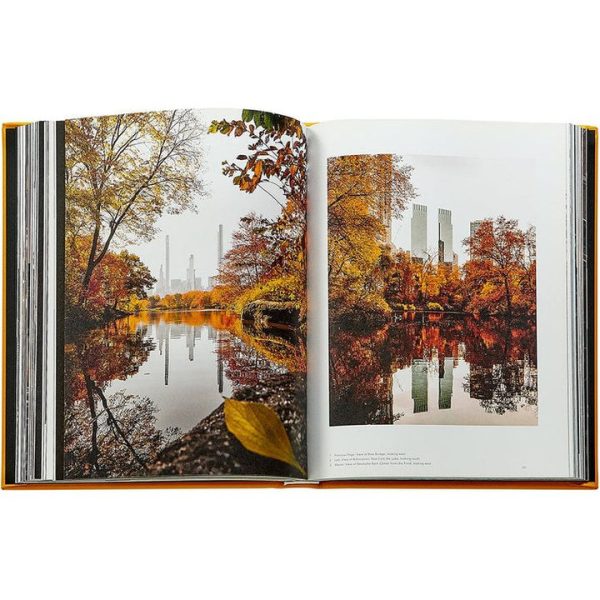 graphic-image-books-trope-new-york-book-leather-edition-1152077146_720x-3