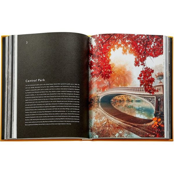 graphic-image-books-trope-new-york-book-leather-edition-1152077148_720x-3