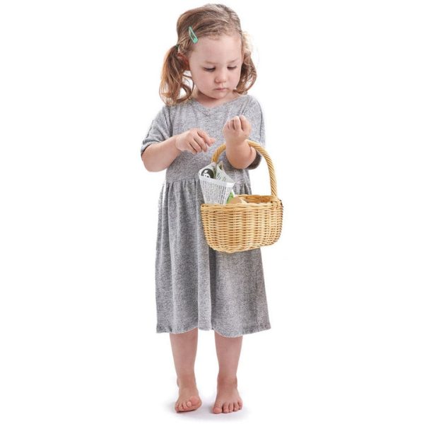 tender-leaf-toys-preschool-wicker-shopping-basket-29711571976279_720x-1