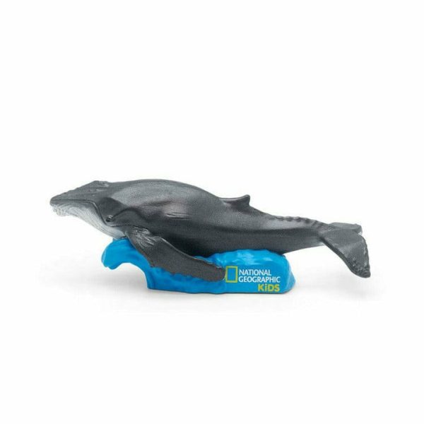 tonies-electronics-national-geographic-whale-tonie-28986640957527_720x-5